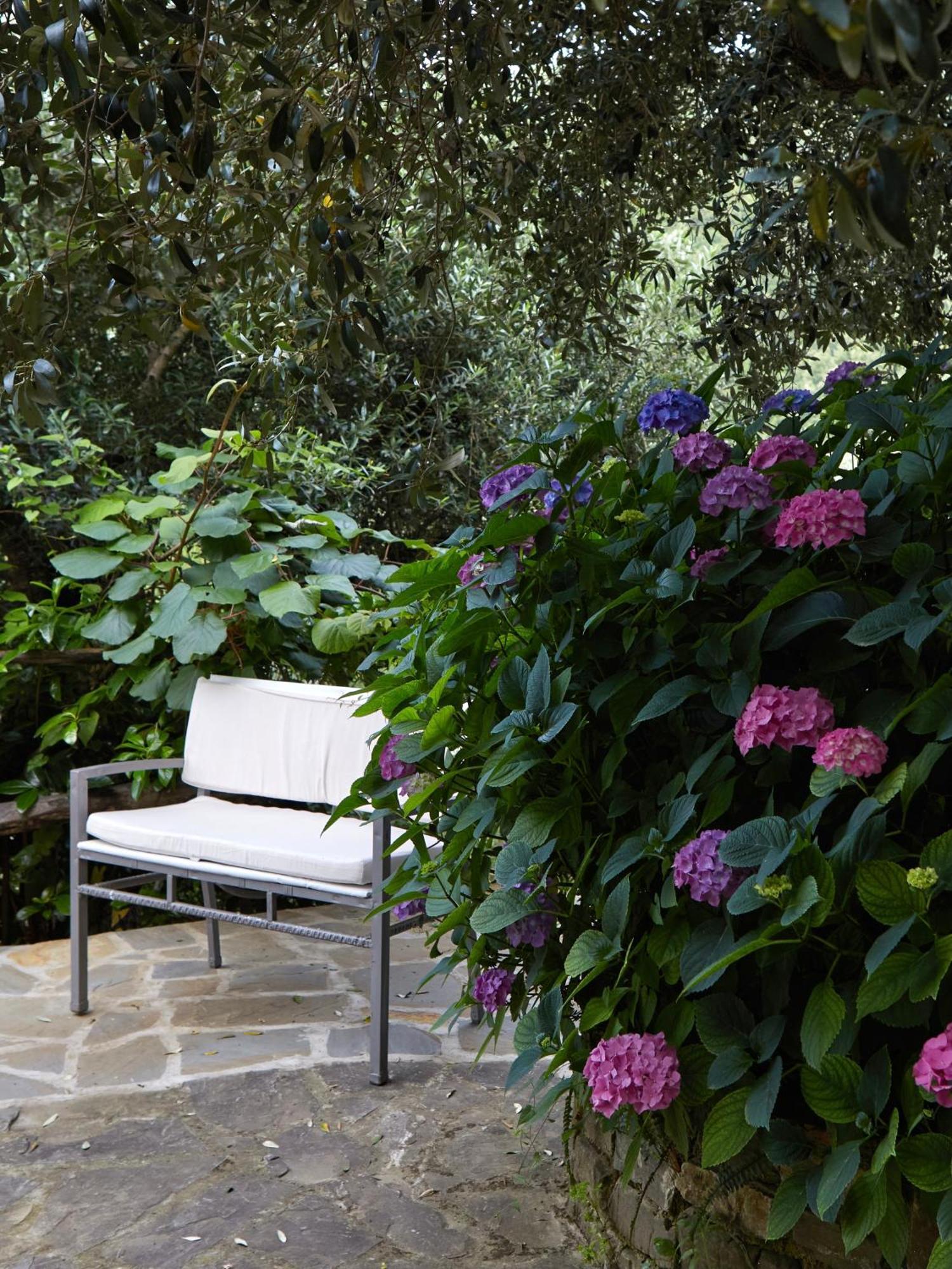 Il Vecchio Frantoio Villa Stella Cilento Exterior photo